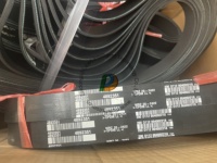 Pièces d'origine pour machines de construction Pièces de moteur à sélection stricte OEM 6C8.3 6CT8.3 V COURROIE NERVÉE 4892351 8PK1226 4990977