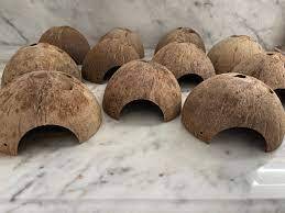 Cueva de coco ecológica al por mayor, cúpula de media cáscara de coco con puerta redonda, cabaña de Coco para mascotas hecha a mano en Vietnam - Product Image 4