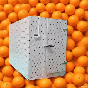 Cámara frigorífica para frutas y verduras en venta - Product Image 1