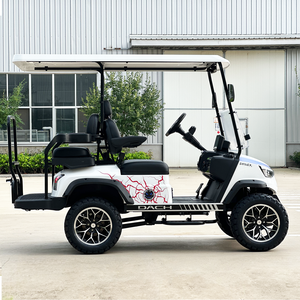 Pièces de direction pour voiturette de golf améliorée |   Alimentation au lithium 60V, vitesse de 30 km/h et maniabilité fluide - Product Image 4