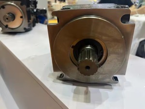 Bombas de la Serie JR-R-S45B JR-R-S65C JR-R-S45B-LS-19-25 -R-S65C-LS-25-20 JR-R-S65C-LS-25-25-NN-N-3-S1N9-A2N-NNN-JJJ-NNN Bomba de Pistones - Product Image 2