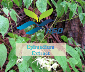 HGO Suministro directo de fábrica Extracto de Epimedium natural (grado alimenticio) Especificación Icariin 5% (extracto estandarizado) - Product Image 5