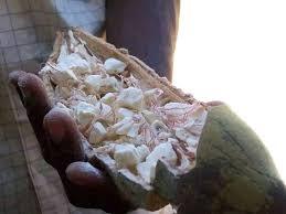 Resina de Extracto Herbal de Adansonia Digitata, Cosechada en Estado Silvestre, con Fibra Dietética y Antioxidantes - Product Image 2