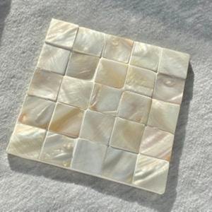 Sous-verres carrés en nacre véritable | Design sophistiqué en mosaïque pour une décoration intérieure et une expérience de restauration élégantes - Product Image 1