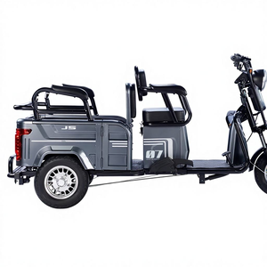 Nuevo Triciclo Eléctrico para Adultos de 600W, Una Velocidad, 48V, Diseño de Carrocería Abierta, Acero con Alto Contenido de Carbono - Product Image 3