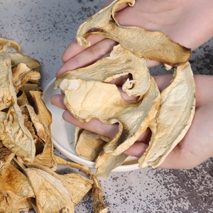 Hongos <span class=keywords><strong>Boletus</strong></span> Secos a Granel, Hongos Porcini Cortados en Trozos, <span class=keywords><strong>Precio</strong></span> al por Mayor, Proveedor de Grado Alimenticio para Importadores - Product Image 5