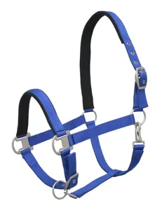 Wholesale Best Buy High Quality Horse Nylon Halter Direct From Manufacturer with Matching Lead Rope Saddle Pad and Ear Bonnet