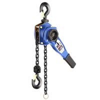 Nouveau bloc de chaîne à levier manuel de 1,5 tonne 3 tonnes 9 tonnes pour la construction d'une usine de fabrication d'hôtels au détail