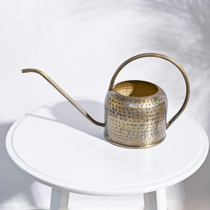 Outils de jardinage en acier galvanisé les plus vendus Arrosoir en métal pour plantes d'extérieur et d'intérieur - Product Image 3