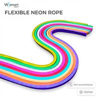 Ruban LED néon 12V/24V 6x12mm 120 LED/m IP67 étanche, flexible et dimmable, 5m pour enseignes DIY