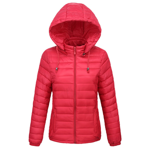 Veste bouffante à col montant personnalisée 2025 pour femmes, veste en coton vierge bon marché, veste à capuche pour l'hiver, motif de style High Street, vente en gros - Product Image 2