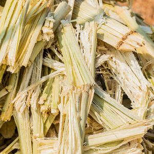 ชานอ้อยอบแห้งสำหรับหมักอาหารสัตว์ที่มีคุณภาพสูง - Product Image 3