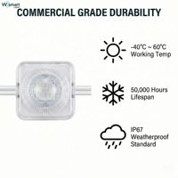 Tira de Luz LED RGBW IC DC36V, Sistema de Iluminación Arquitectónica para Exteriores IP67, 100LM/W