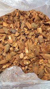 Livraison rapide Coquille de cacao agricole de qualité supérieure idéale pour le paillage et l'entretien du sol Acheter en gros pour un excellent rapport qualité-prix en solde - Product Image 4