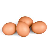 Œufs à couver de poulets de chair Ross 308 et Cobb 500, et œufs de table frais