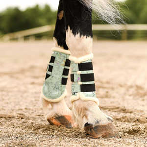 Nuevo Juego de Almohadillas para Montar a Caballo 2026, Cómodo y de Alta Calidad, con Exterior de Acero Inoxidable, Reutilizable, Forro de Polialgodón para Animales Grandes - Product Image 2