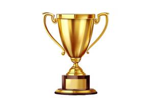 Modern Metal Cricket <b>Trophy</b> Cup Championship Award Memorial for Cricket Events - Product Image 5
