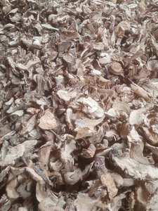 Vietnam <b>Dried</b> Galangal Root 100% Natural, Aromatic & Ready for Cooking or Herbal Use - Product Image 4