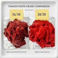 Pâte de tomate en fût Brix 36-38% 220L, acidulée et sucrée, nouvelle récolte, pressée à froid, certifiée Halal, pH 4.2, directement de l'usine
