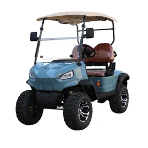 100% Hoge Kwaliteit 2 Seat 4 Wheel Mini Kleine Elektrische Voertuigen Klassieke Auto 'S Club Golfkarretjes Voor Groothandel