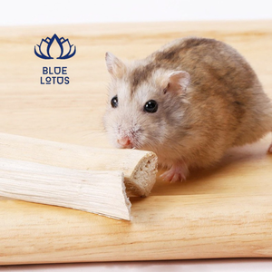 Bâton de canne à sucre séchée en bambou doux pour animal de compagnie, Hamster, souris, jouets à mâcher, nettoyage des dents - Product Image 4