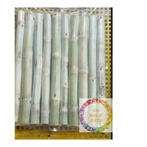 Palitos de caña de azúcar congelados IQF, producto de exportación Premium de Vietnam, pelados frescos e ideales para usos de jugo y batidos - Product Image 2