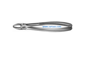 คีมถอนฟันสเตนเลส Fig.107สำหรับเขี้ยวบนจะงอยปากสั้น - Product Image 4