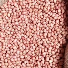 Arachides Premium JAVA en paquet de 1 kg, taille généreuse, croquantes, fraîches, riches en protéines, cacahuètes naturelles, torréfaction, collation, cuisine, emballées sous vide - Product Image 4