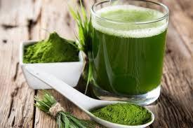 ผงมะรุมจำนวนมาก-USDA อินทรีย์ได้รับการรับรอง HACCP ราคาโรงงาน - Product Image 2