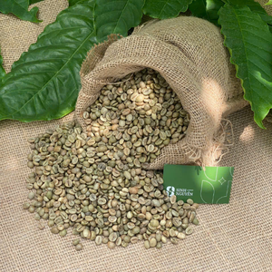 Granos de café verde Robusta de alta calidad de Vietnam para exportación al por mayor con proceso de miel - Product Image 4