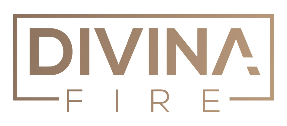 DIVINA SRL logo