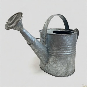 Arrosoir galvanisé élégant avec finition patinée antique et bec verseur de précision pour plantes délicates d'intérieur et d'extérieur - Product Image 1