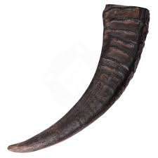 คุณภาพดีที่สุด 100% แตรเป่าลมธรรมชาติ แตรเป่าลมควาย แตรเป่าลมรูปทรงธรรมชาติ - Product Image 3