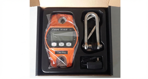 Báscula Digital Electrónica de Grúa Mini de Acero Inoxidable, Capacidad de 300 kg, Vista de 360 Grados, Gancho para Colgar, Peso Personalizable OEM/ODM - Product Image 5