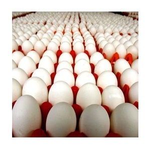 Huevos frescos blancos y marrones |   Huevos frescos de gallina de corral en venta - Product Image 2