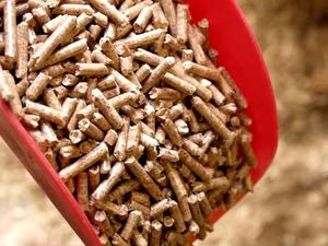 Granulés de bois de haute qualité, combustible biomasse avec 0,7 % de cendres et une densité de 600-750 kg/m³ pour le chauffage de chaudières, poêles et centrales électriques - Product Image 3