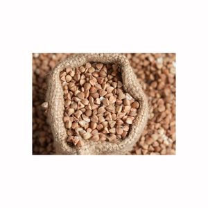 Trigo sarraceno premium disponible para compra al por mayor con ofertas a precios asequibles y envío rápido - Product Image 6