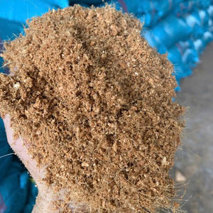 Size 30 X 30 X 15cm <b>Light</b> Brown Organic Cocopeat Block Natural Dried for <b>Plant</b> <b>Growing</b> Made in Vietnam - Product Image 2