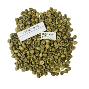 ผู้ผลิตเมล็ดกาแฟโรบัสต้าคั่วและดิบสีเขียวธรรมชาติ ขายส่ง +84 35 254 2206 - Product Image 1