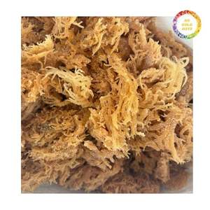 มอสไอริชแห้งจำนวนมาก พร้อมการอบแห้งที่สม่ำเสมอและการควบคุมคุณภาพที่มั่นคง - Product Image 2