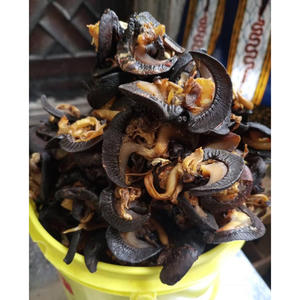 100% gros escargots africains séchés bien transformés de qualité supérieure à haute teneur en protéines viande d'escargot gastronomique en gros approvisionnement en vrac prix bon marché - Product Image 3