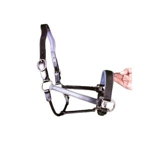 Qualité supérieure Fait à la main Fantaisie Tressé Rembourré Choco Marron Couleur Cuir Cheval Halter Havana Avec Double Couronne Boucles - Product Image 2