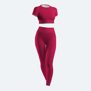 Conjunto de Yoga para Mujer, Sujetador Deportivo Sin Costuras de Alta Calidad, Leggings Elásticos y Transpirables, Ropa Deportiva para Gimnasio, Ropa Deportiva Activa - Product Image 1