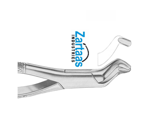 Fórceps Dentales de Acero Inoxidable de Alta Calidad para Extraer Molares Superiores, Figura 210S, Exportadores y Fabricantes - Product Image 5