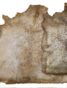 Djembes กลองหมอผีกลองแอฟริกัน - Product Image 3