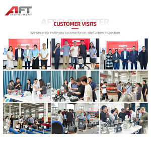 高速応答コスト効果的インテリジェント耐久性アルコールキシレンエタノール金属ローターフローメーターCE認定 - Product Image 5