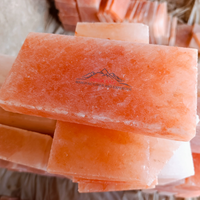 Briques de sel naturel de l'Himalaya Rose Qualité supérieure Certifié ISO Purification de l'air Contrôle de l'humidité Sculpté Motif de fleurs Feng Shui