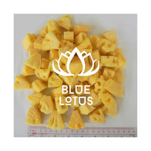 Meilleure vente de morceaux d'ananas congelés IQF Vietnam Export 2025 en vrac disponible pas cher prix approvisionnement d'usine de haute qualité - Product Image 1