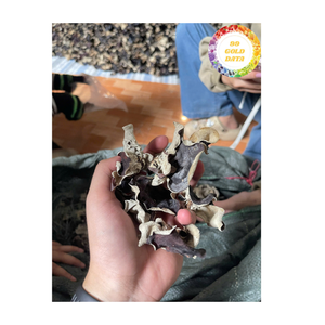 Hongo negro seco al por mayor, seta comestible natural de Vietnam para procesamiento de alimentos y recetas asiáticas - Product Image 3