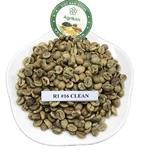 (HOT DEAL) VIETNAM EXPORT ROBUSTA GREEN COFFEE BEAN R1 18 CLEAN BEST BUY ( Whatsapp 0084865216698- Helen)